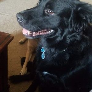 Meet your Posher, Clayton